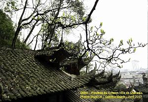 Chengdu avril 2017 - 094